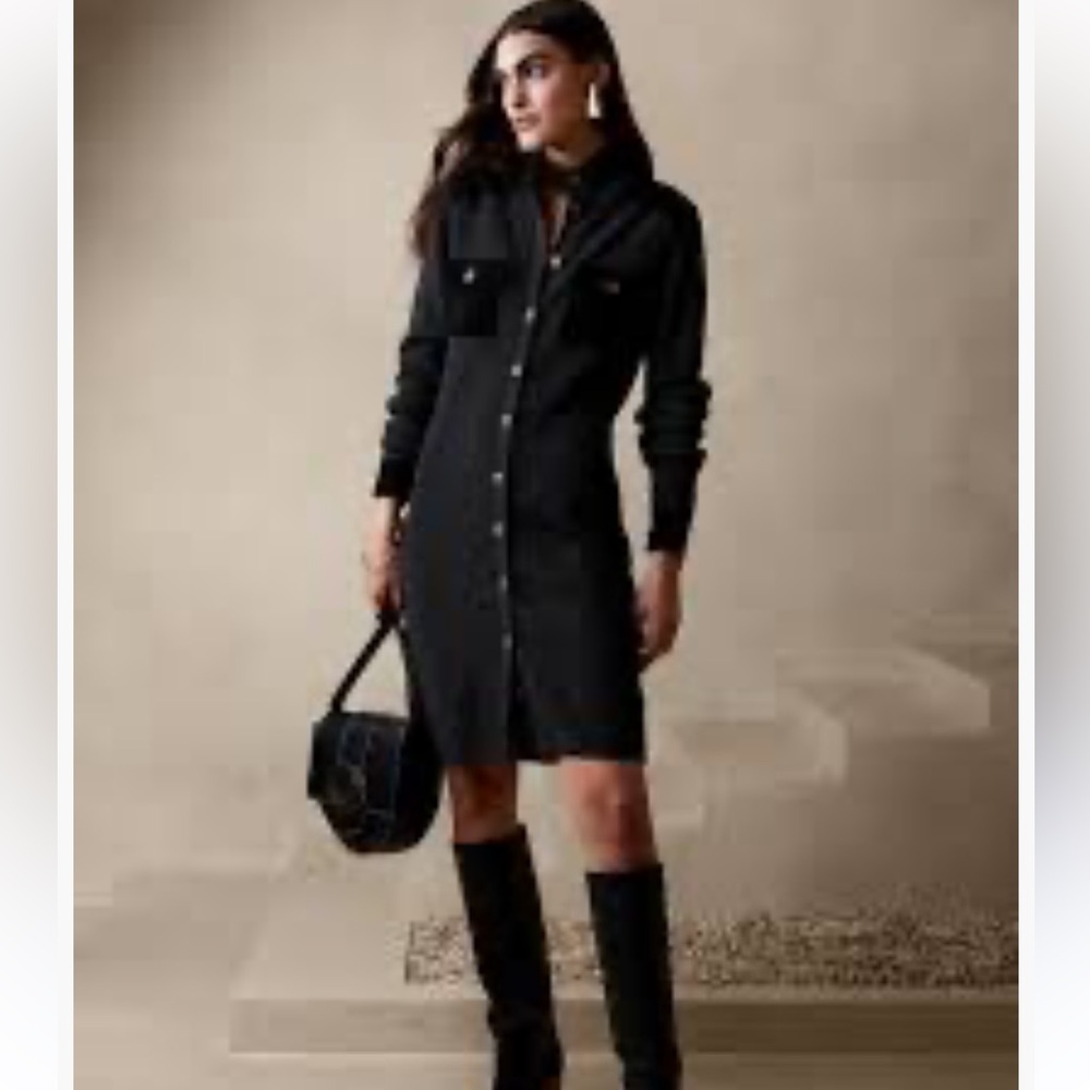 Banana Republic Merino and Suede Sweater Dress